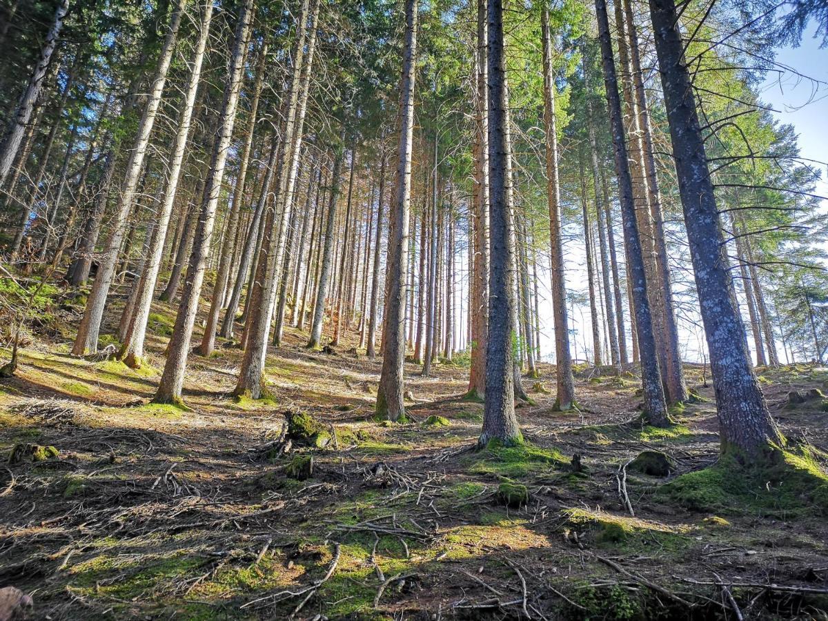 Maso Sveseri Montesover Buitenkant foto